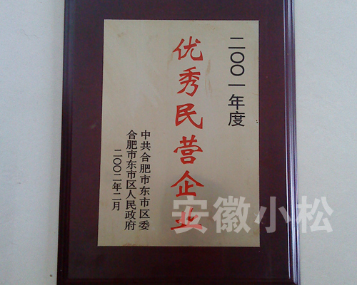 2001年度优秀民营企业