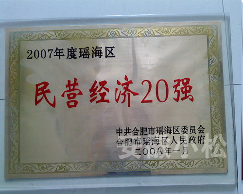 2007年民营经济20强
