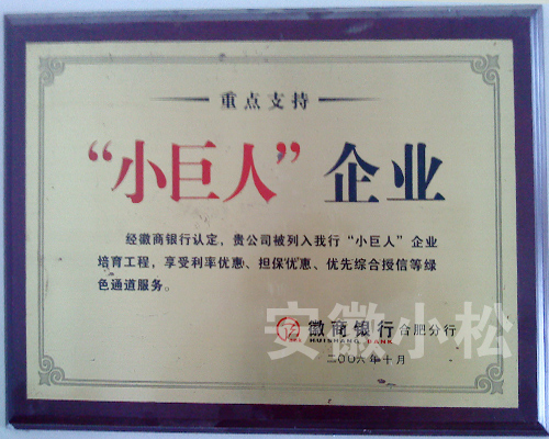“小巨人”企业