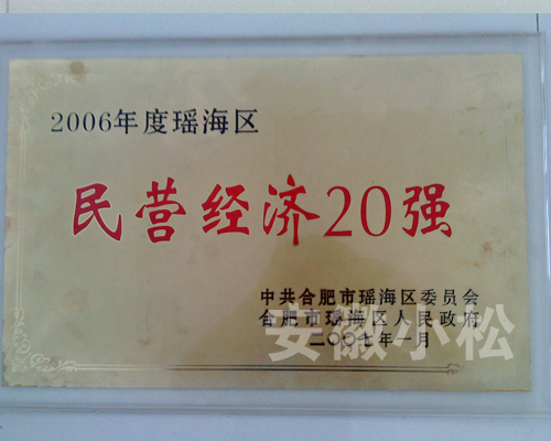 2006年民营经济20强