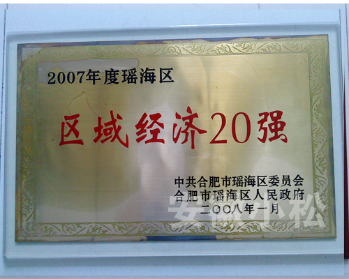 2007年区域经济20强